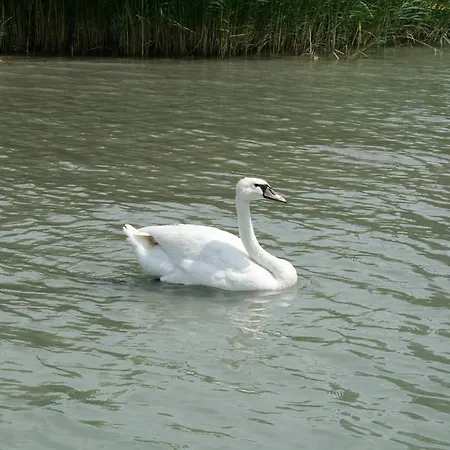 Next To The Beach