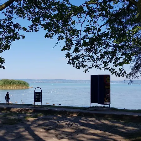 Next To The Beach